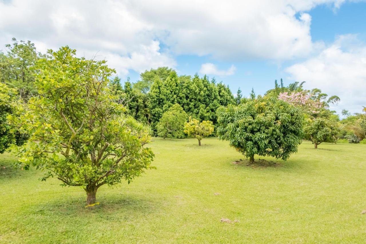 Off-Grid Getaway With Ocean Views In Paradise Pahoa Exterior photo