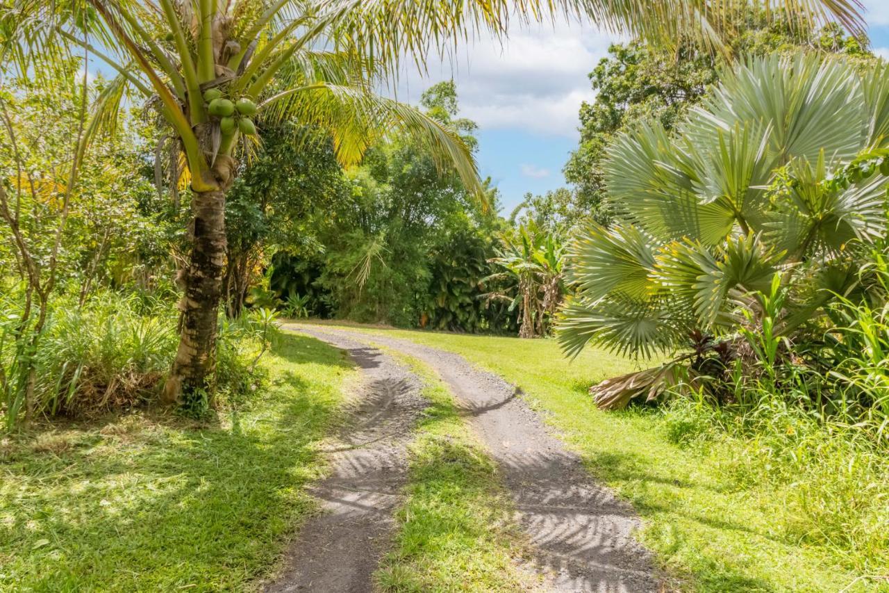 Off-Grid Getaway With Ocean Views In Paradise Pahoa Exterior photo
