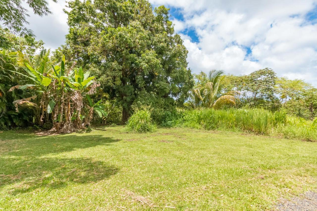 Off-Grid Getaway With Ocean Views In Paradise Pahoa Exterior photo