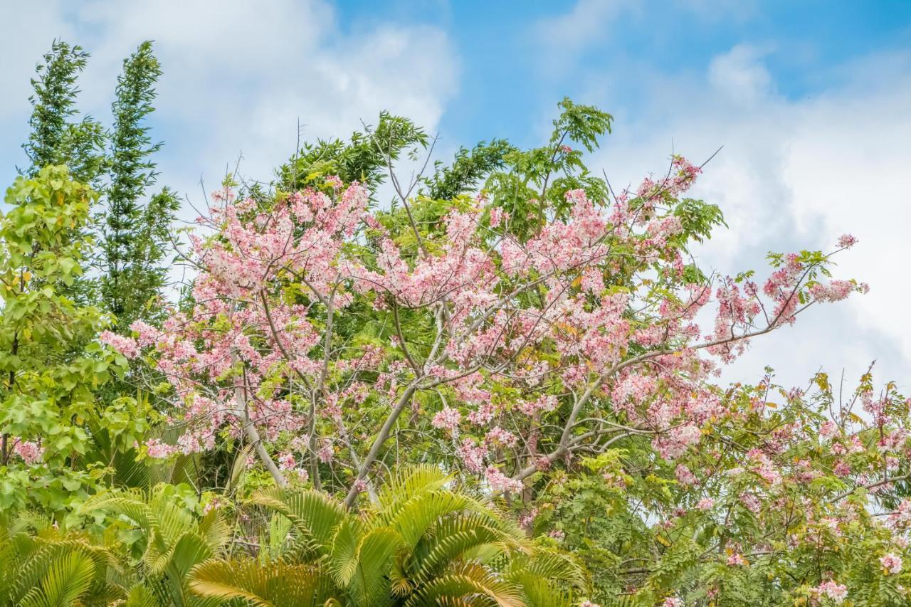 Off-Grid Getaway With Ocean Views In Paradise Pahoa Exterior photo