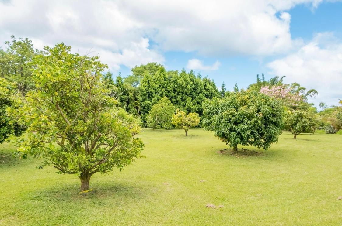 Off-Grid Getaway With Ocean Views In Paradise Pahoa Exterior photo