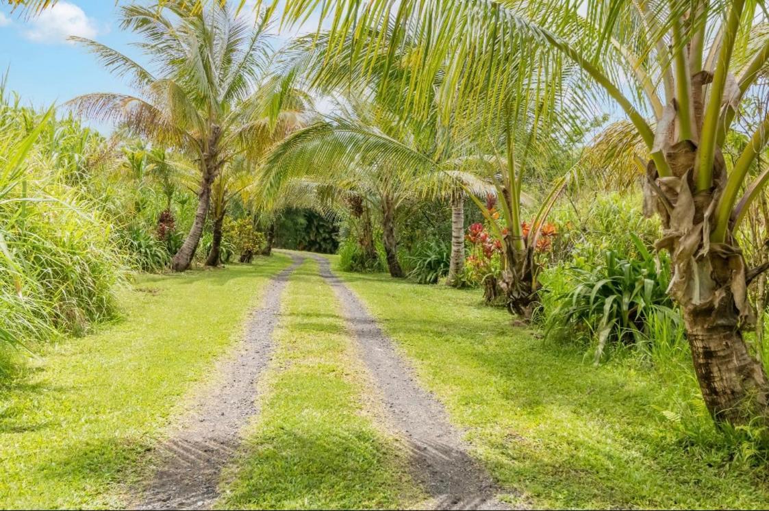 Off-Grid Getaway With Ocean Views In Paradise Pahoa Exterior photo